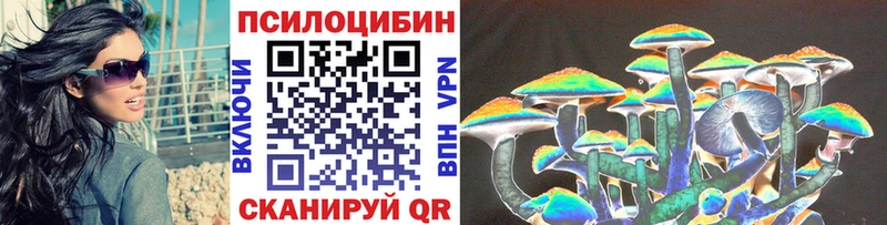 мориарти как зайти  ссылка на мегу ТОР  Сурск  Галлюциногенные грибы Psilocybe 